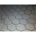 Crab Trap Wire / Hexagonal Hole Shape e Material de Fio de Ferro Galvanizado Hexagonal Wire Mesh